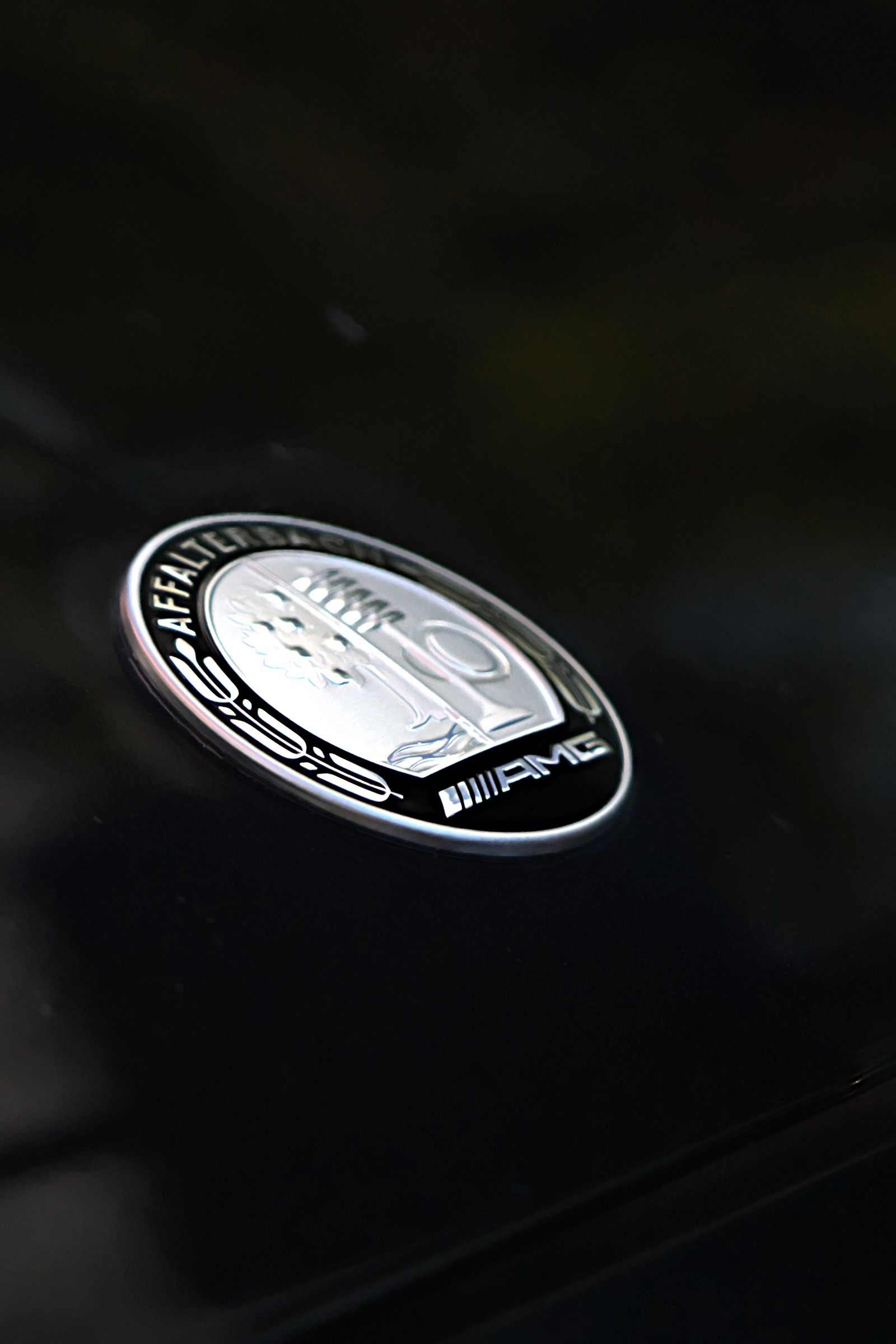 Vehicle badge detail